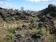 iara Scorciavacca-20110306 061